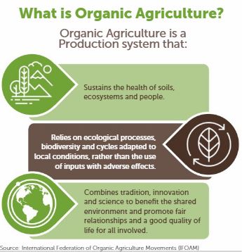 Organic Agriculture – Ethical Fashion Review™